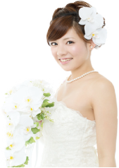 選べる料金プラン